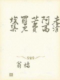 埃罗芒阿老师全集免费高清