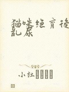 猫咪绝育后还是乱尿