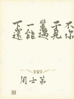 下一辈子不一定还能遇见你歌词