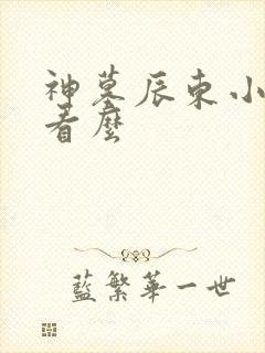 神墓辰东小说好看么