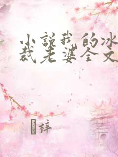 小说我的冰山总裁老婆全文阅读