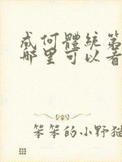 成何体统第二季哪里可以看