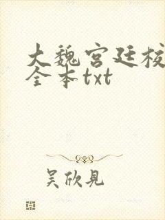 大魏宫廷校对版全本txt