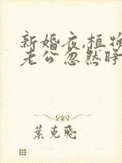 新婚夜,植物人老公忽然睁开眼原著小说