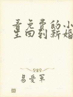 看免费的小说重生回到新婚之夜