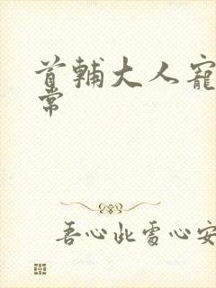 首辅大人宠妻日常