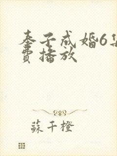 奉子成婚6集免费播放