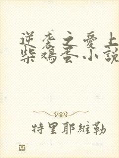 逆袭之爱上情敌柴鸡蛋小说完全版