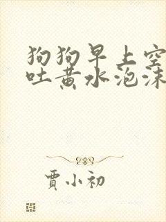 狗狗早上空腹呕吐黄水泡沫粘液