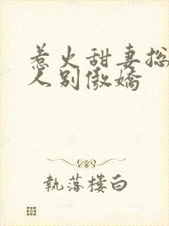 惹火甜妻总裁大人别傲娇