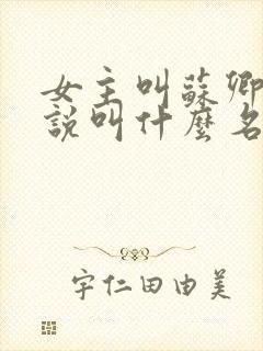 女主叫苏卿的小说叫什么名字