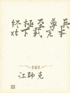 终极至尊兵王txt下载完本