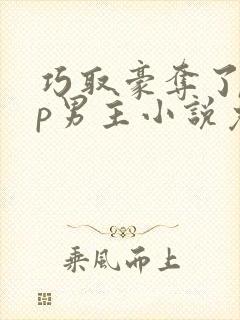 巧取豪夺了无cp男主小说免费阅读