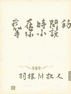 我在时间的尽头等你小说