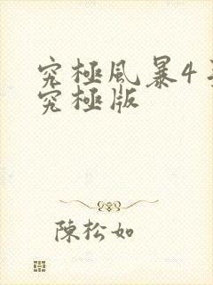 究极风暴4手机究极版