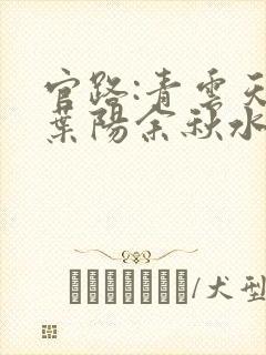 官路:青云天骄叶阳余秋水全本阅读