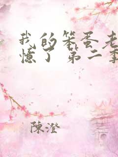 我的笨蛋老婆失忆了 第二季 电视剧