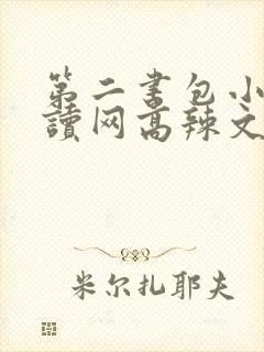 第二书包小说阅读网高辣文