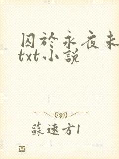 囚于永夜未删减txt小说