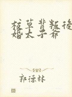 校草背叛后我闪婚太子爷