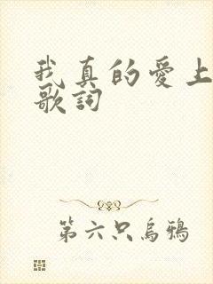 我真的爱上你 歌词