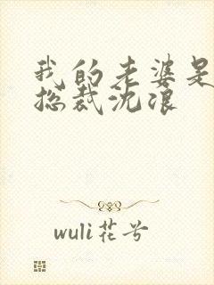 我的老婆是冰山总裁沈浪