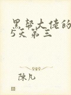 黑帮大佬的365天第三