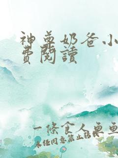 神尊奶爸小说免费阅读