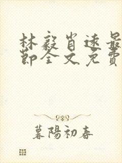 林毅肖远最新章节全文免费阅读