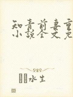 知青前妻重生了小说全文免费阅读