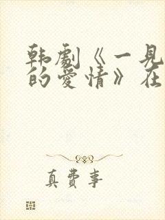 韩剧《一见钟情的爱情》在线观看