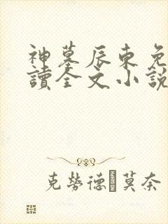 神墓辰东免费阅读全文小说