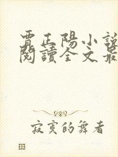 贾正阳小说免费阅读全文最新章节