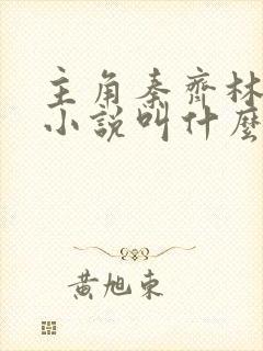 主角秦齐林洁的小说叫什么名字