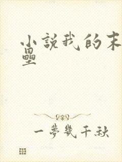 小说我的末日堡垒