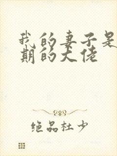 我的妻子是大乘期的大佬