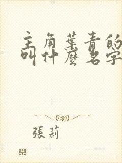 主角叶青的小说叫什么名字