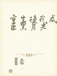 重生后我成了奸臣黑月光