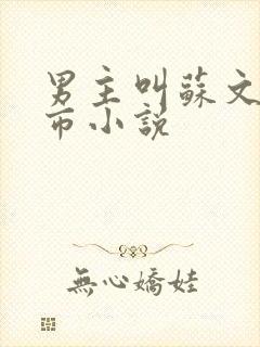 男主叫苏文的都市小说