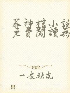 葬神棺小说全文免费阅读无弹窗