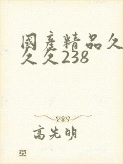 国产精品久久久久久238