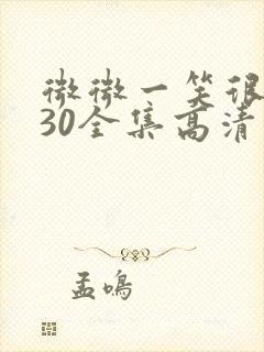 微微一笑很倾城30全集高清