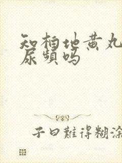 知柏地黄丸能治尿频吗