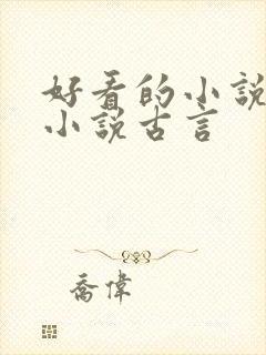 好看的小说言情小说古言