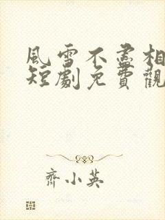 风雪不尽相思情短剧免费观看高清