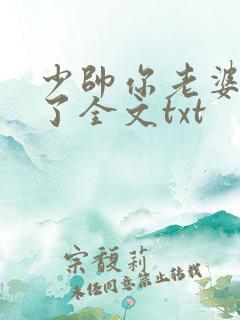 少帅你老婆又跑了全文txt