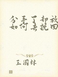 分手了却放不下如何去挽回