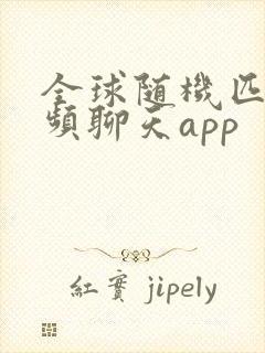 全球随机匹配视频聊天app