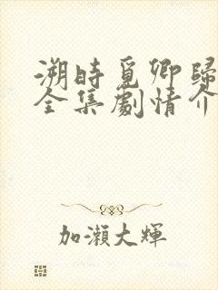 溯时觅卿归短剧全集剧情介绍