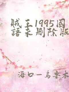 贼王1995国语未删除版下载